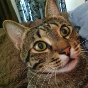 Meet your Posher, Cyndi